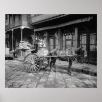 Milk Delivery Cart, 1903. Vintage Photo
