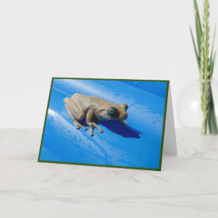 Milk Frog on Float Folded Greeting Card