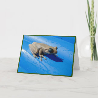 Milk Frog on Float Folded Greeting Card