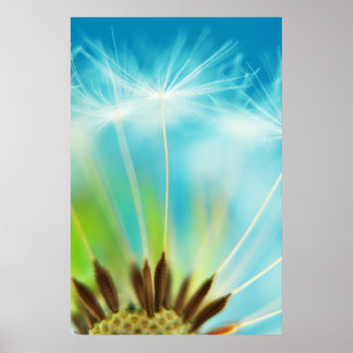 Milk Rays Poster