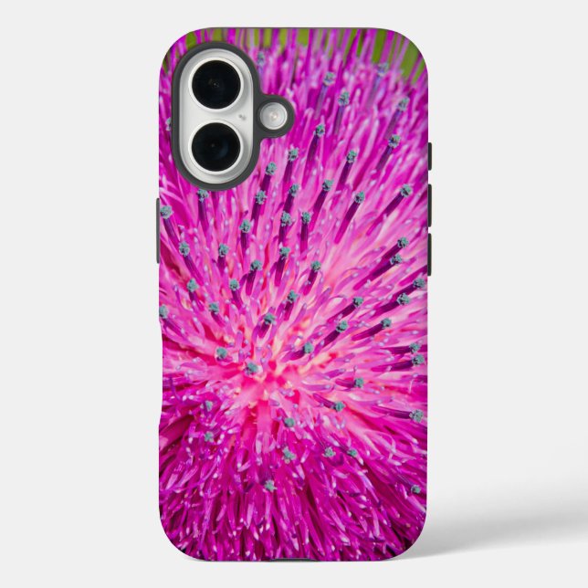 Milk thistle closeup Case-Mate iPhone case (Back)