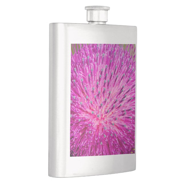 Milk thistle closeup hip flask (Right)