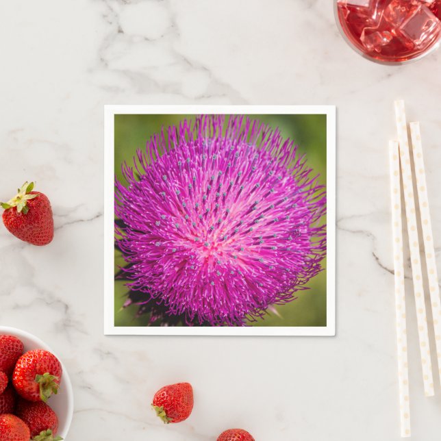Milk thistle closeup napkin (Insitu)