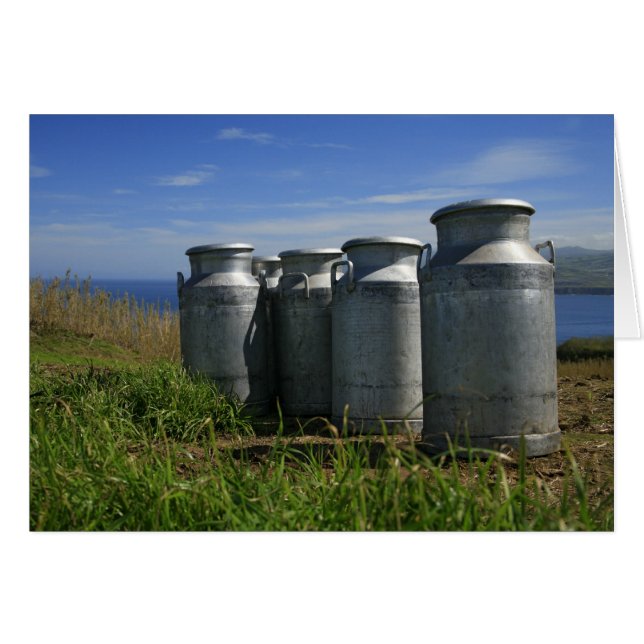 Milk urns (Front Horizontal)