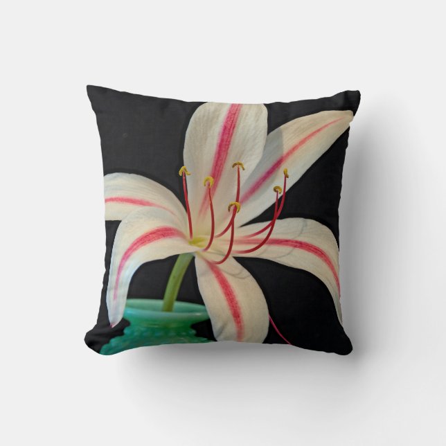 Milk Wine Swamp Lily   Cushion (Front)