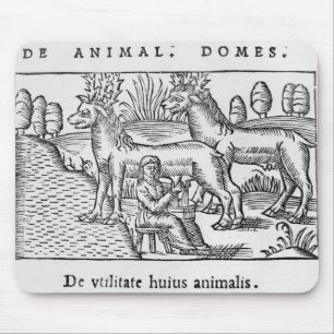 Milking reindeers mouse pad