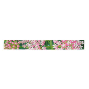 Milkweed aka Asclepias Summer Blooms Satin Ribbon