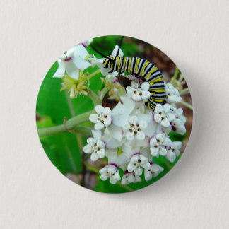 Milkweed and Monarch 6 Cm Round Badge