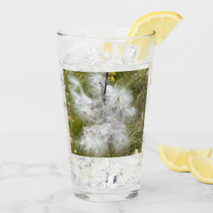 Milkweed   Butterfly   Glass
