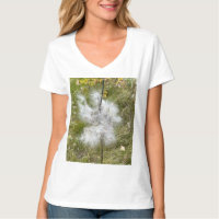 Milkweed | Butterfly |