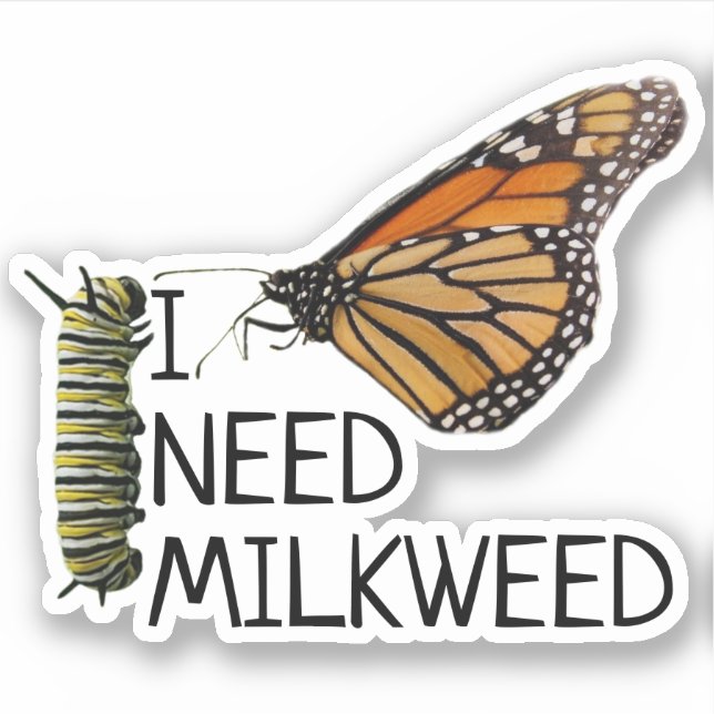 Milkweed For Monarch Butterflies (Front)