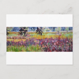 Milkweed Meadow scenic wildflower vista painting Postcard