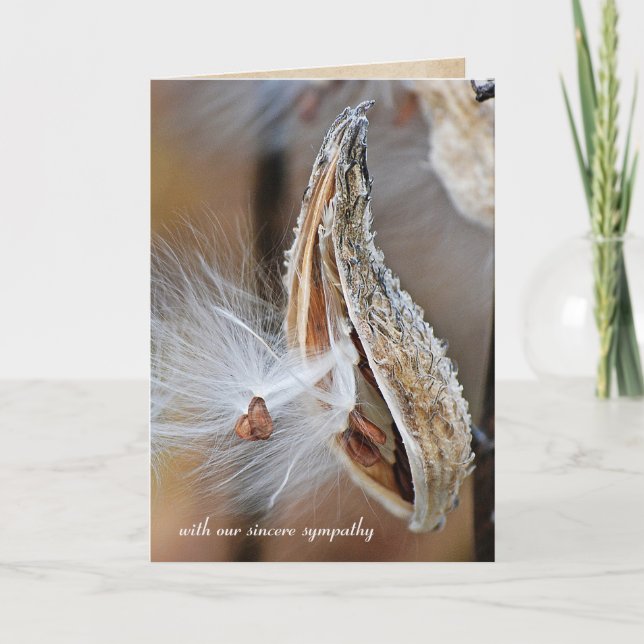 milkweed pod sympathy card (Front)