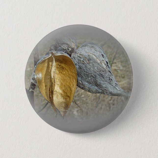 Milkweed Pods 6 Cm Round Badge (Front)