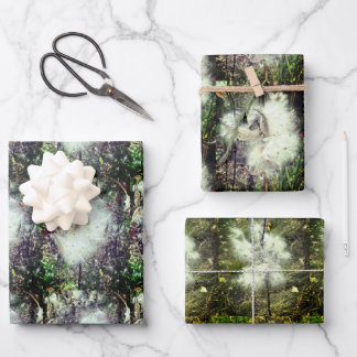 Milkweed Pods, Seeds and Silk | Recoleta | Wrapping Paper Sheet