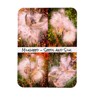 Milkweed Sangria Flexible Magnet