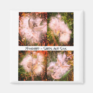 Milkweed Sangria Magnet