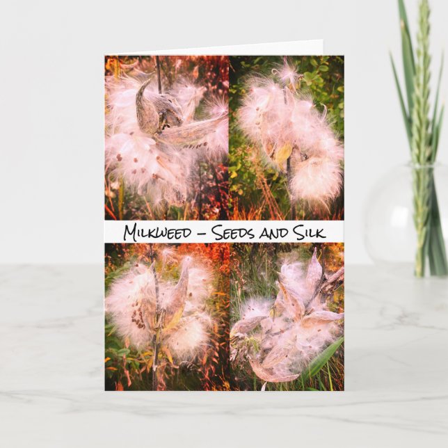 Milkweed | Sangria Note Card (Front)