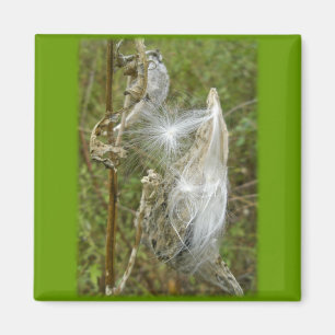 Milkweed Seeds Coordinating Items Magnet