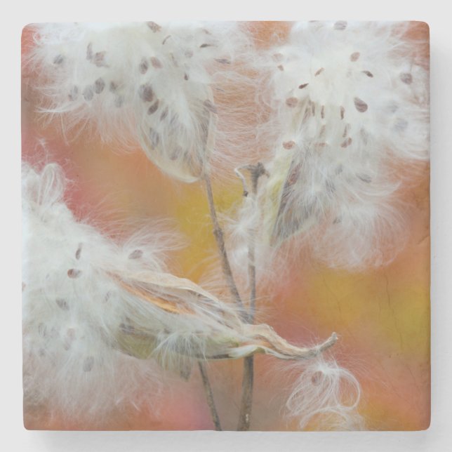 Milkweed seeds in autumn, Canada Stone Coaster (Front)