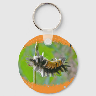 Milkweed Tussock Moth Caterpillar Orange Items Key Ring