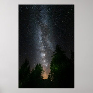 Milky way above spruce forest poster