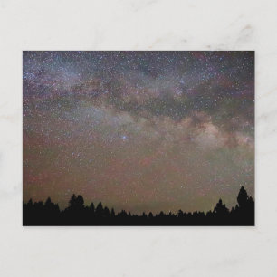 Milky Way and Stars, Night Sky over Pine Trees Postcard