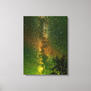 Milky Way & Aurora Borealis Ontario Canada Canvas Print