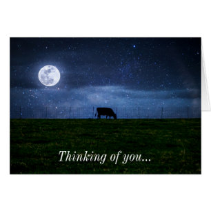 Milky Way Cattle Moonlight