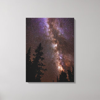 Milky Way | Cedar Breaks National Monument Utah Canvas Print