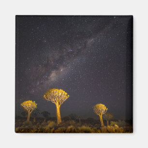 Milky Way Quiver Tree   Keetmanshoop Namibia Magnet