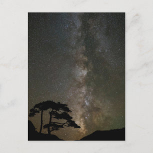 Milky Way with Tree   Ouray Colorado Postcard