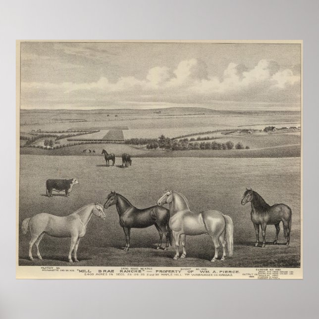 Mill Brae Ranch, Kansas Poster (Front)