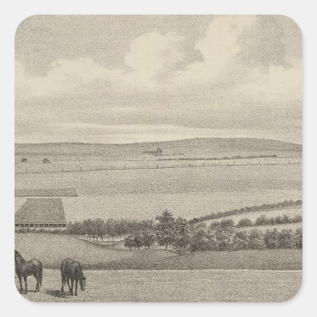 Mill Brae Ranch, Kansas Square Sticker (Front)