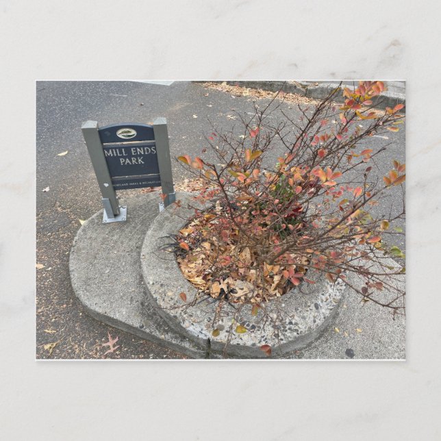 Mill Ends Park Postcard (Front)