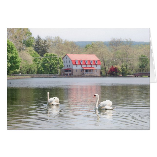 Mill in summer with 2 swans in pond (Front Horizontal)