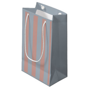 Millennial Pink And Ice Blue Colour Block Stripes  Small Gift Bag