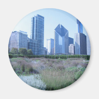 Millennium Park Magnet