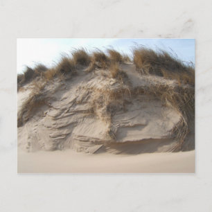 Miller Beach in Gary, Indiana Postcard