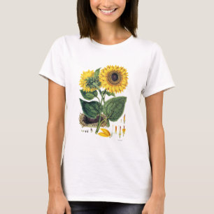 Miller: Sunflower T-Shirt