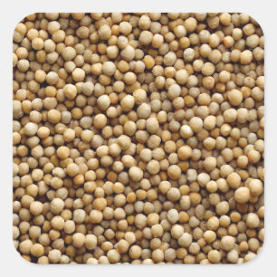 Millet Square Sticker