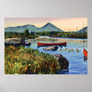 Millinocket Maine Little NesowadnehunkLake Lily Pa Poster