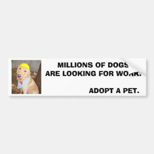 MILLIONS OF DOGS ARE LOOKING FOR WORK. BUMPER STICKER