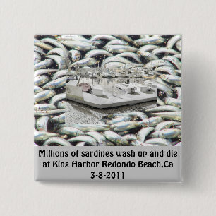 Millions of Sardines 3-8-2011_ 15 Cm Square Badge