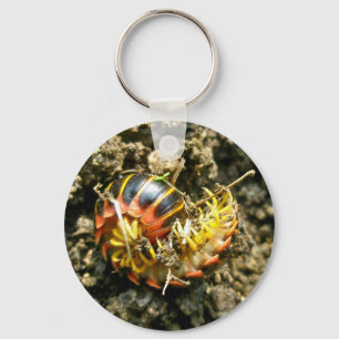Millipede Polydesmida (Sigmoria aberrans) Items Key Ring