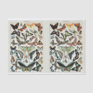 Millot, Butterflies & Moths, Decoupage Tissue Paper