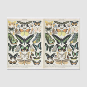 Millot Butterflies Tissue Paper