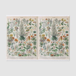 Millot Illustrations, Botanical, Decoupage Tissue Paper