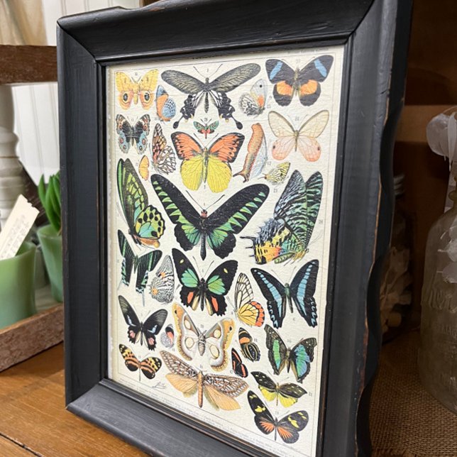 Millot Illustrations, Butterflies, Decoupage Tissue Paper (Creator Uploaded)