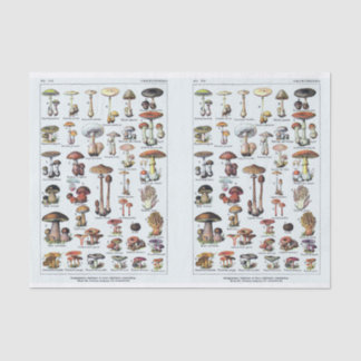 Millot Illustrations, Mushrooms, Decoupage Tissue Paper
